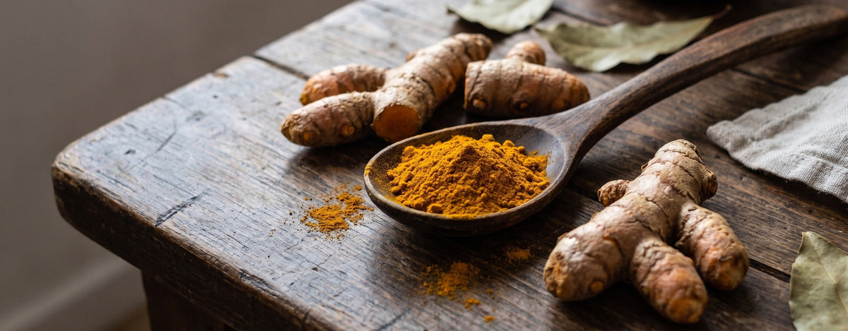 Frische Kurkumawurzel und Pulver auf einem Holzlöffel, Symbolbild für Curcuma und Curcumin