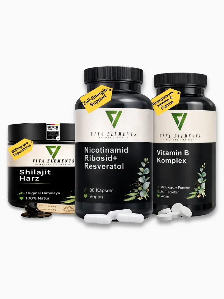 Vita Elements Gehirn & Fokus Bundle: Shilajit Harz, Nicotinamid Ribosid+ Resveratrol Kapseln und Vitamin B Komplex Tabletten für Energie, Nerven und mentale Klarheit.