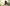 Aktionsbanner