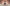 Probiotika Gummibärchen